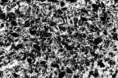 Yere düşen sarı yapraklar