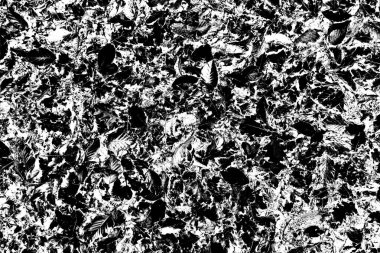 Yere düşen sarı yapraklar