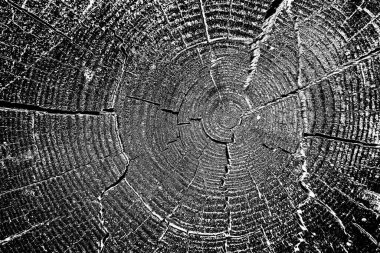 Soyut arkaplan. Monokrom dokusu. Siyah ve beyaz desenli arkaplan