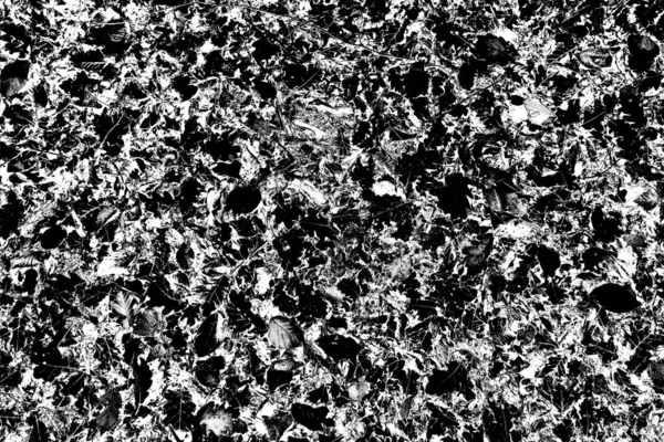 Fundo Abstrato Textura Monocromática Preto Branco Texturizado Fundo — Fotografia de Stock