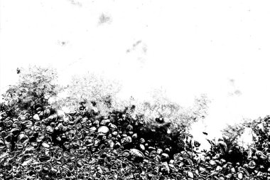 Soyut arkaplan. Monokrom dokusu. Siyah ve beyaz desenli arkaplan