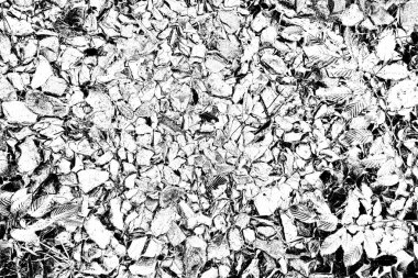 Doğada kayalık yol