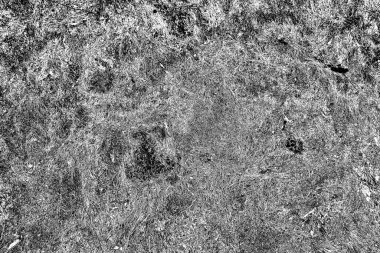 Soyut arkaplan. Monokrom dokusu. Siyah ve beyaz desenli arkaplan