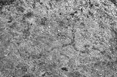 Soyut arkaplan. Monokrom dokusu. Siyah ve beyaz desenli arkaplan