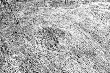 Soyut arkaplan. Monokrom dokusu. Siyah ve beyaz desenli arkaplan.      