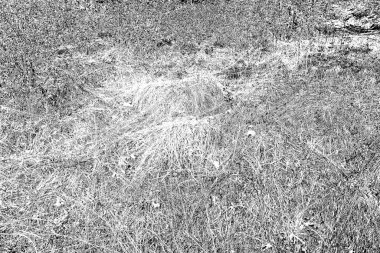 Soyut arkaplan. Monokrom dokusu. Siyah ve beyaz desenli arkaplan.      