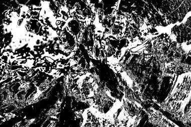 Çürümüş ağaç, kapat.