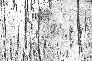 Arkaplan olarak kullanılmak üzere sıvanmış duvarın resmi