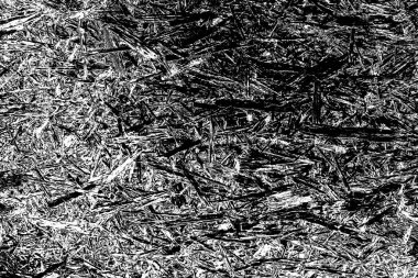 Soyut arkaplan. Monokrom dokusu. Siyah ve beyaz desenli arkaplan.      