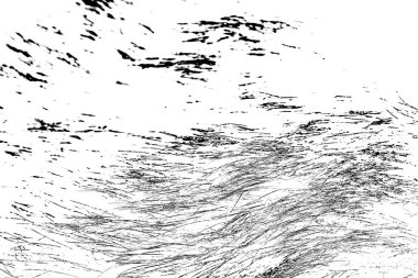 Yaban domuzu kürküne yakın, vahşi hayvan.