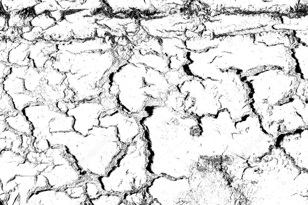 Contraction and desiccation cracks in dry earth. Because of the lack of water in the soil. Global warming concept. Climate warming dry chapped land.