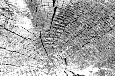 Soyut arkaplan. Monokrom dokusu. Siyah ve beyaz desenli arkaplan