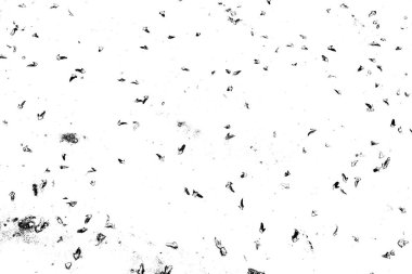 Soyut arkaplan. Monokrom dokusu. Siyah ve beyaz desenli arkaplan.      