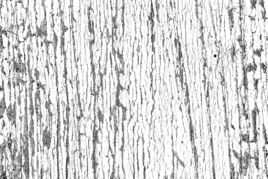 Soyut arkaplan. Monokrom dokusu. Siyah ve beyaz desenli arkaplan.      