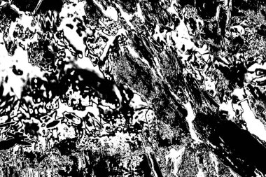 Çürümüş ağaç, kapat.