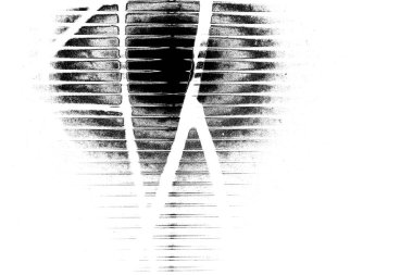 Yeşil sayfa dokusu arkaplanı.