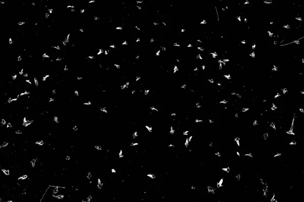 Sfondo Astratto Struttura Monocromatica Bianco Nero Sfondo Strutturato — Foto Stock