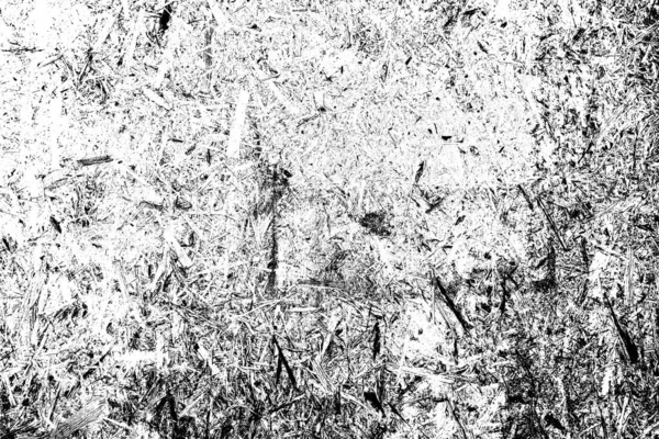 Contexte Abstrait Texture Monochrome Fond Texturé Noir Blanc — Photo