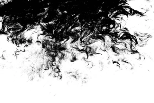 Овечья Шерсть Обработке Черно Белый Абстрактный Фон — стоковое фото
