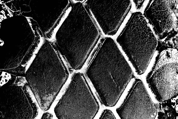 Painted Car Tire Close Texture Background — Stock Photo, Image