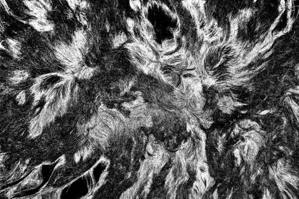 Sheep wool in processing, black and white abstract background