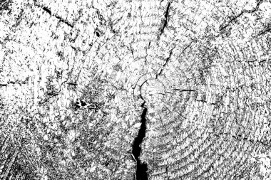 Soyut arkaplan. Monokrom dokusu. Siyah ve beyaz desenli arkaplan