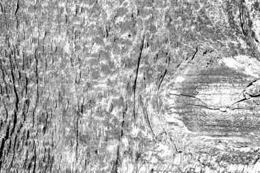 Soyut arkaplan. Monokrom dokusu. Siyah ve beyaz desenli arkaplan.      