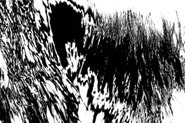 Soyut arkaplan. Monokrom dokusu. Siyah ve beyaz desenli arkaplan.      