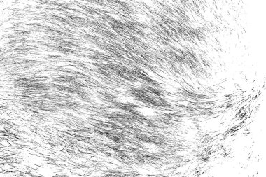 Yaban domuzu kürküne yakın, vahşi hayvan.