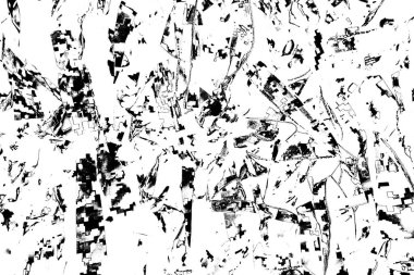 Askeri kamuflaj ağları.