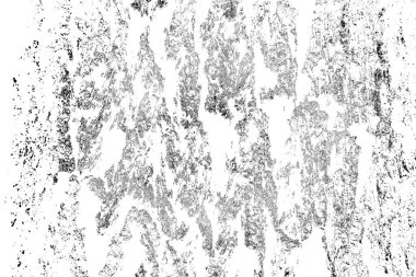 Bir meşe ağacının kabuğu