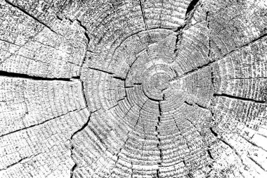 Soyut arkaplan. Monokrom dokusu. Siyah ve beyaz desenli arkaplan