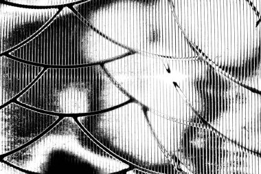 Yeşil sayfa dokusu arkaplanı.