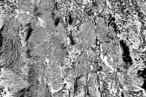 Sheep wool in processing, black and white abstract background