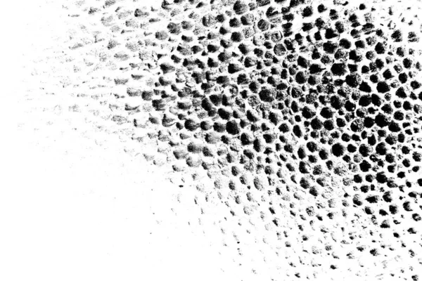 Polisztirol Hab Közelkép Sok Kis Nagy Buborékok Styrofoam Textúra Háttér — Stock Fotó