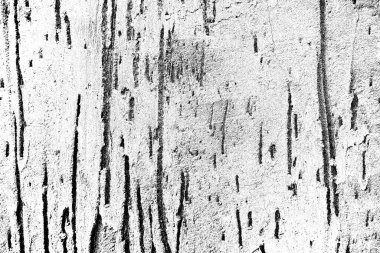 Arkaplan olarak kullanılmak üzere sıvanmış duvarın resmi