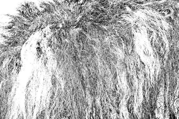 Sheep wool in processing, black and white abstract background
