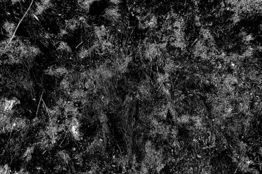 Soyut arkaplan. Monokrom dokusu. Siyah ve beyaz desenli arkaplan.      
