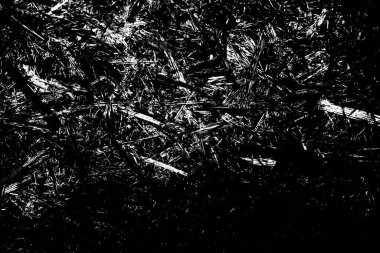 Soyut arkaplan. Monokrom dokusu. Siyah ve beyaz desenli arkaplan.      