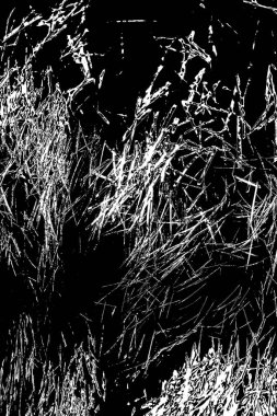 Soyut arkaplan. Monokrom dokusu. Siyah ve beyaz desenli arkaplan.      