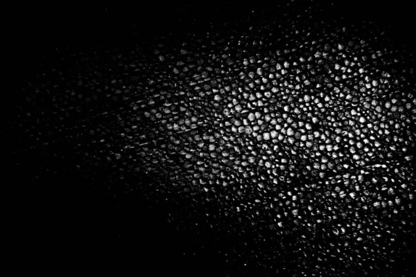 Fondo Abstracto Textura Monocromática Fondo Texturizado Blanco Negro — Foto de Stock