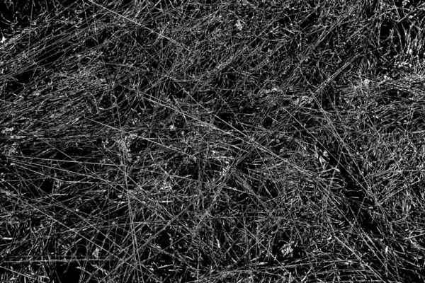 Droog Gras Het Voorjaar Aan Rand Van Het Bos Transcarpathie — Stockfoto
