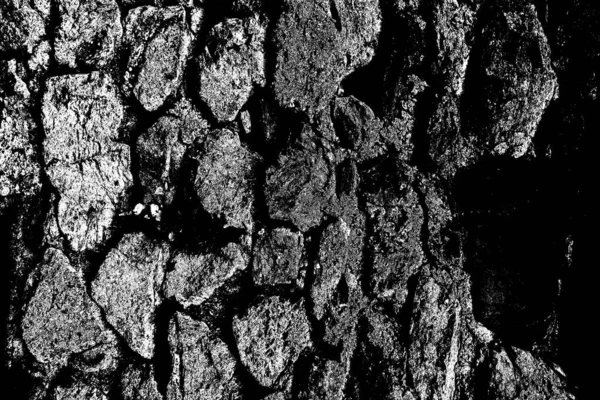 Sfondo Astratto Struttura Monocromatica Bianco Nero Sfondo Strutturato — Foto Stock