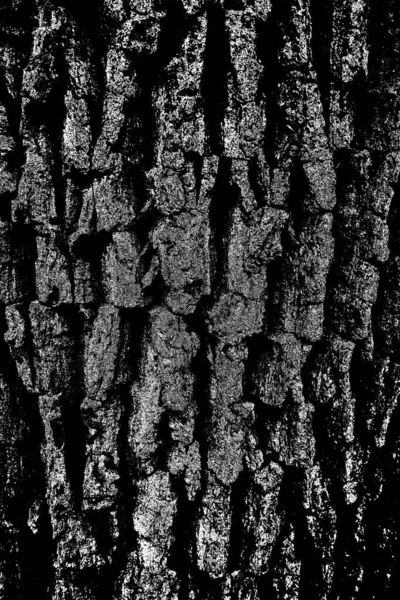 Contexte Abstrait Texture Monochrome Fond Texturé Noir Blanc — Photo