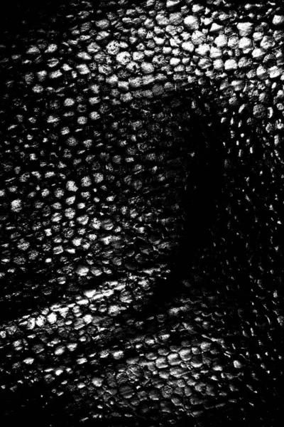 Fondo Abstracto Textura Monocromática Fondo Texturizado Blanco Negro — Foto de Stock