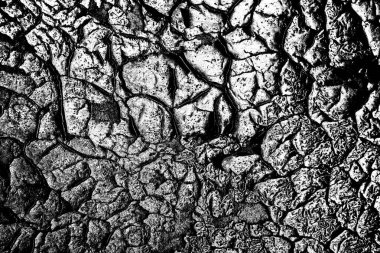 Duvar dokusundan eski boya soyuluyor