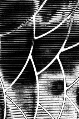 Yeşil sayfa dokusu arkaplanı.