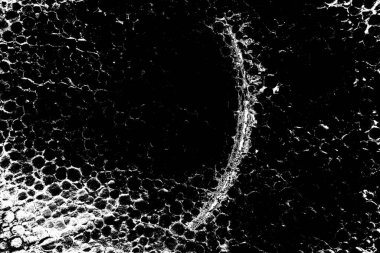 Polistiren köpük yakın plan. Bir sürü küçük ve büyük kabarcıklar stiroköpük doku arkaplanı.