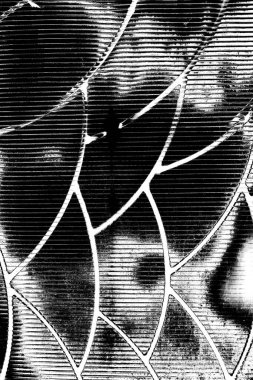 Yeşil sayfa dokusu arkaplanı.