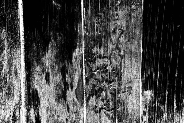 나무의 흑백의 추상적 — 스톡 사진